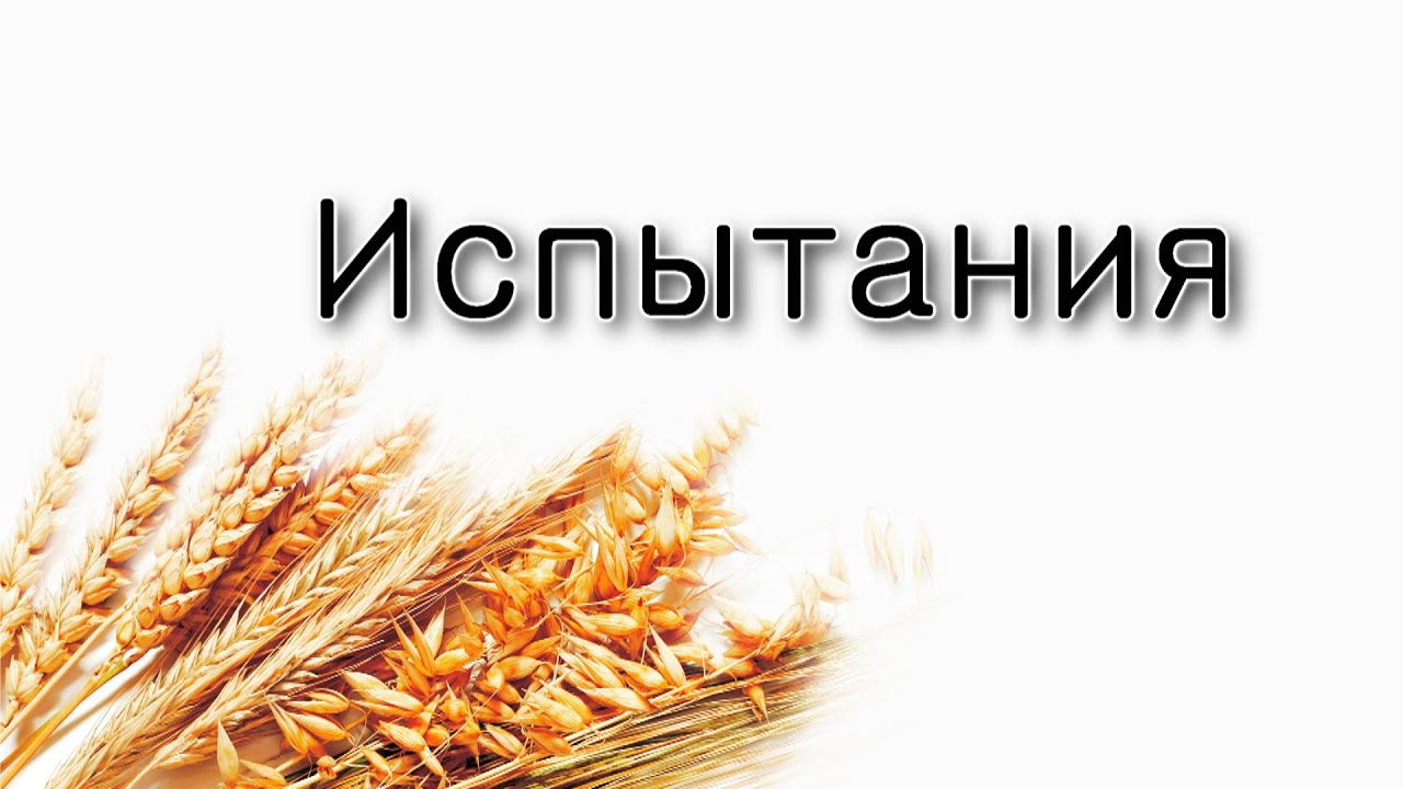 Шавуот – зачем нужны испытания?