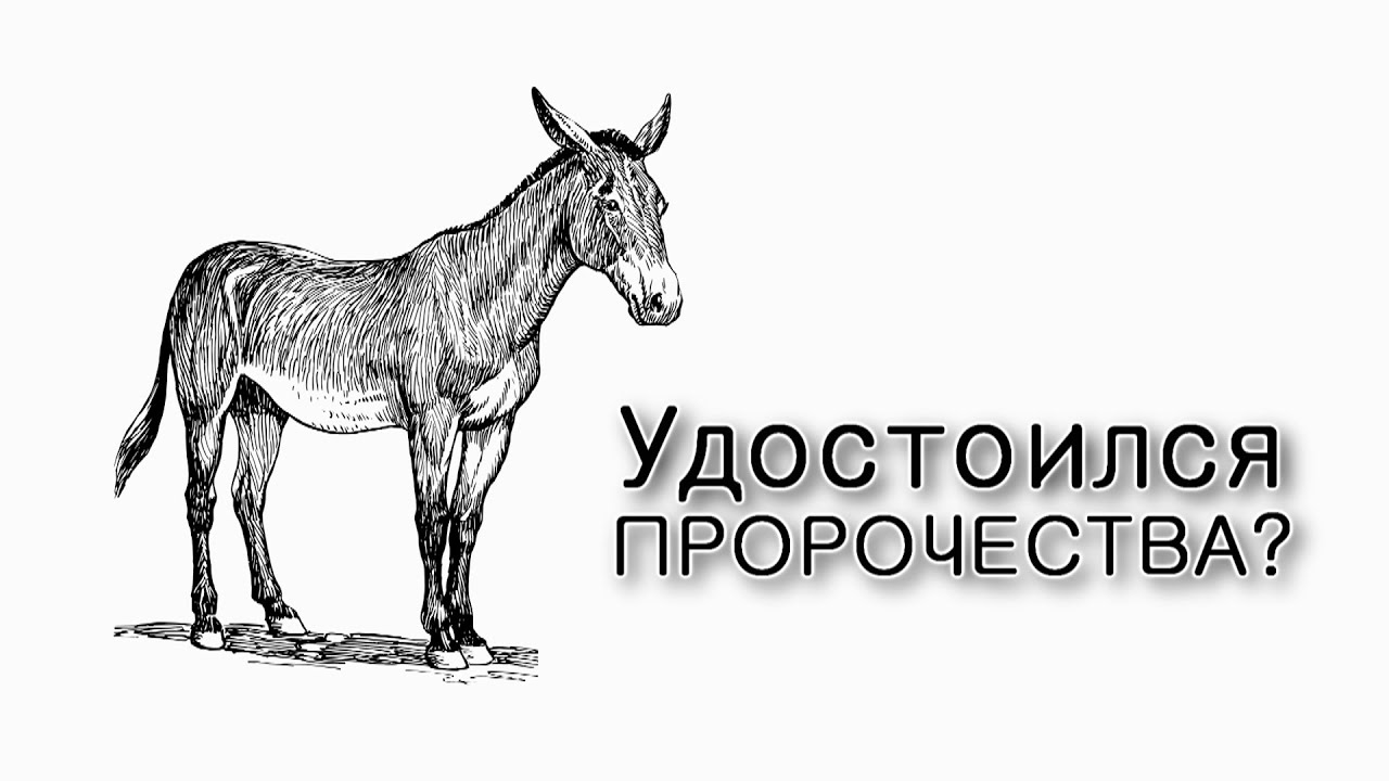 Как Билам удостоился пророчества?