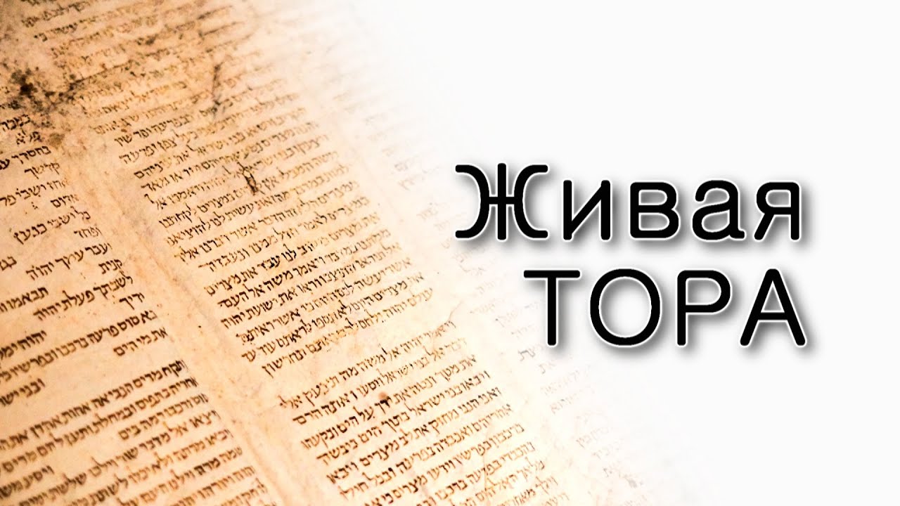 Живая Тора