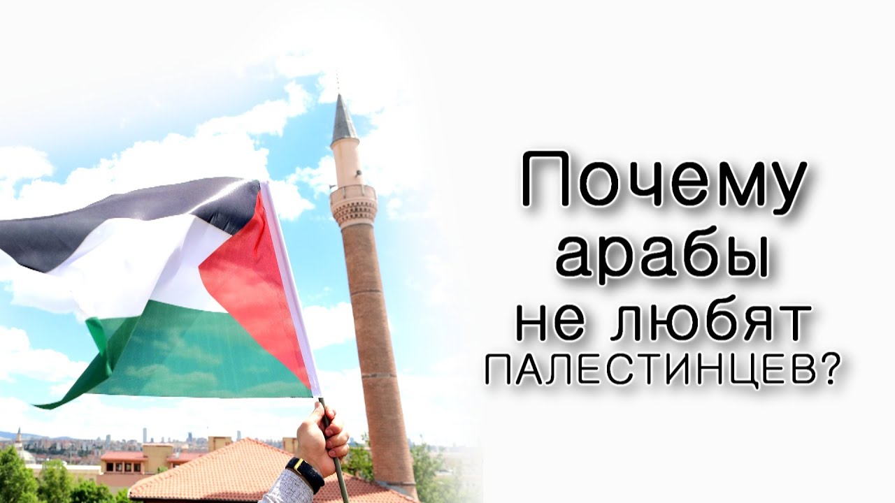 Толдот. Почему арабы не любят палестинцев?