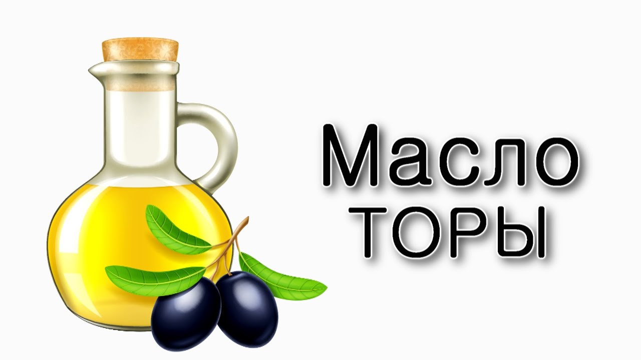 Что такое «масло Торы»?