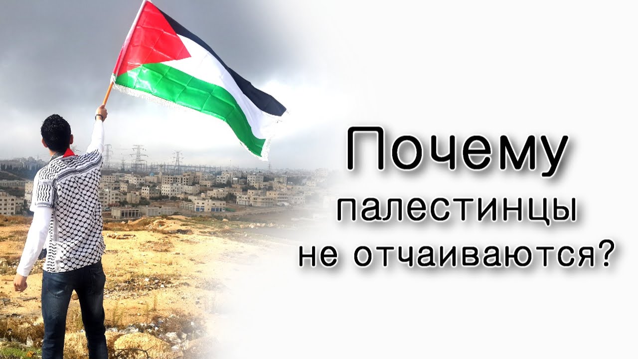 Почему палестинцы не отчаиваются?