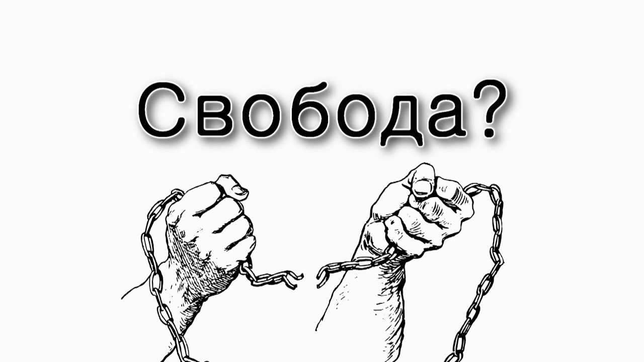 Зачем мы вышли на свободу?