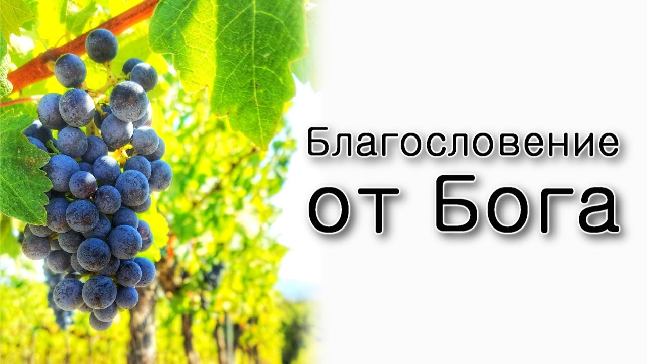 Благословение от Бога