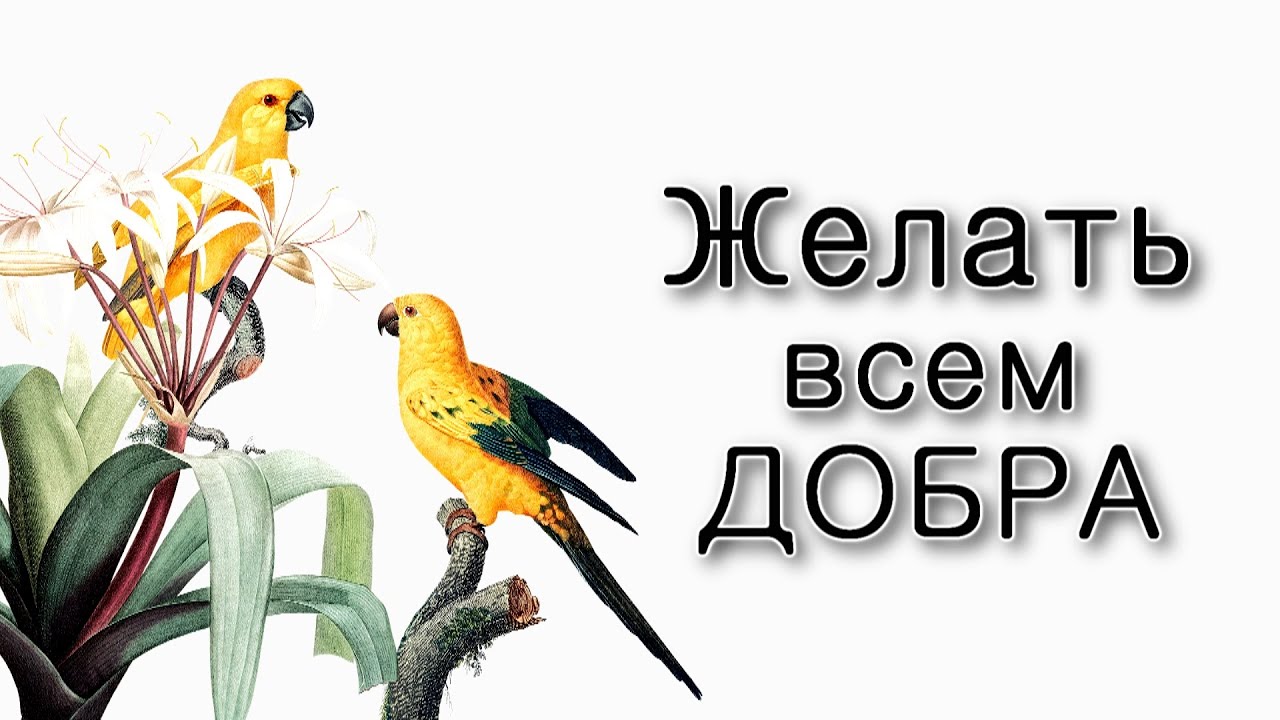 Как желать всем добра?