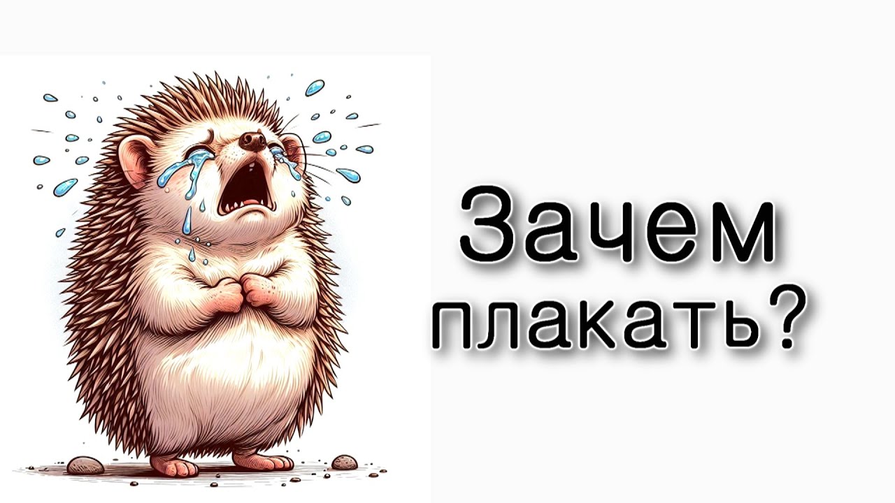 Зачем плакать?