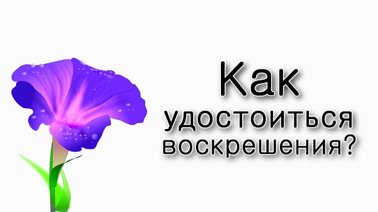 Как удостоиться оживления мертвых?