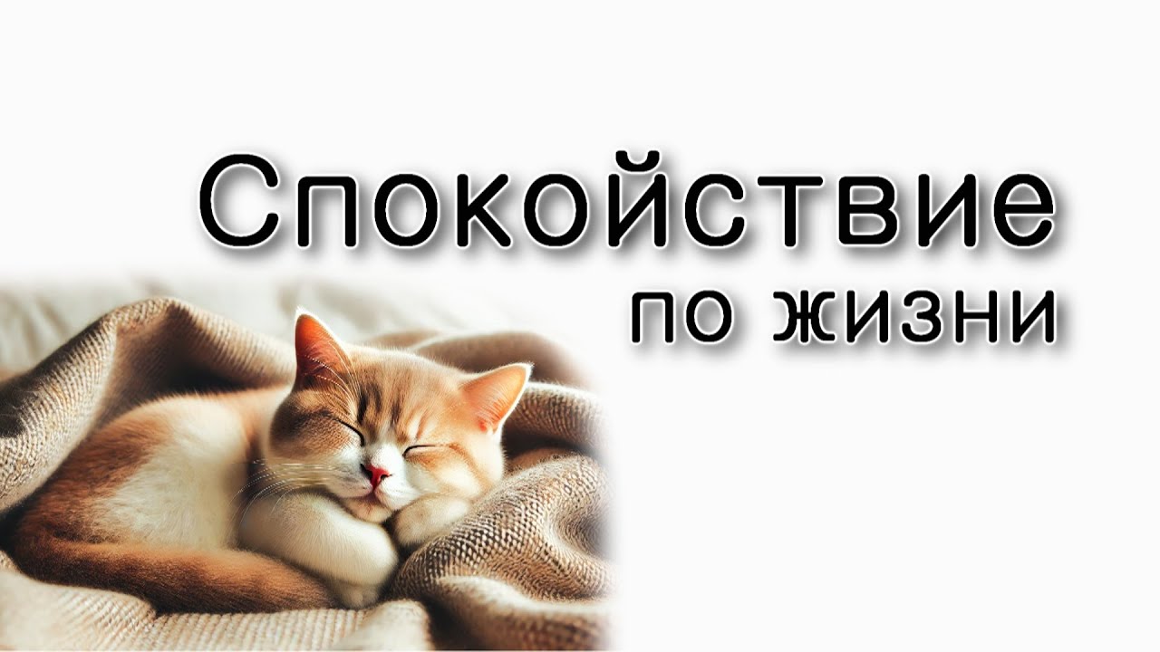 Как быть спокойным по жизни?