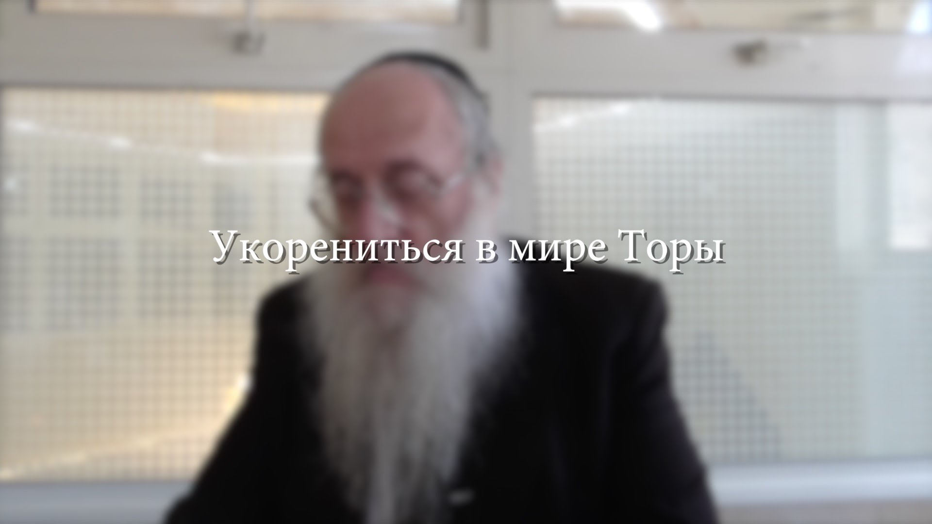 Укорениться в мире Торы