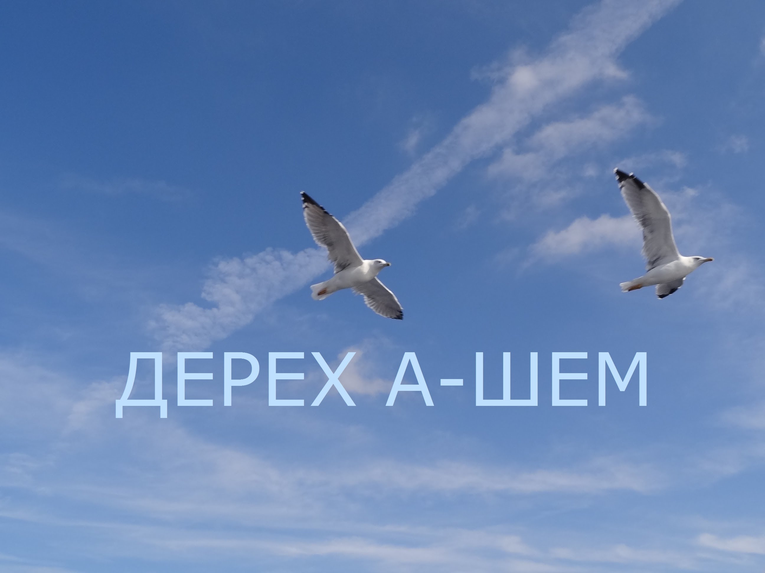Дерех Ашем – Урок 59 – Изучение Торы
