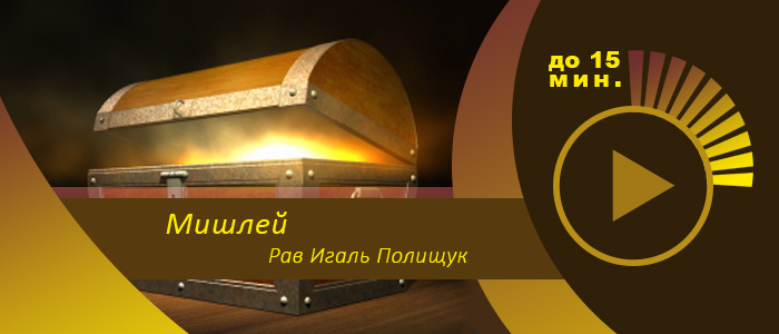 Мишлей — 1 — Введение