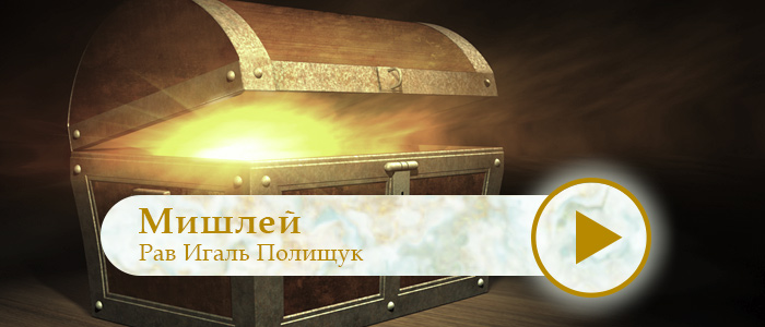 Мишлей — 14 — Познать и понять
