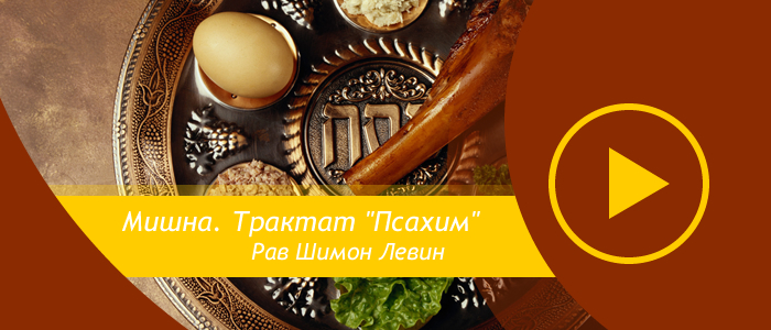 Мишна Псахим — Урок 1 — Глава 1 — Мишна 1