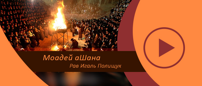 Отсчет омера – время исправления истинного отношения к Торе