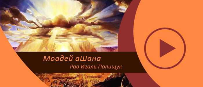 От Песаха до Шавуота — Отсчет Омера