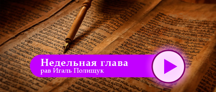 Уроки Торы — Ваякель-Пкудей — Вернуться на уровень до Греха