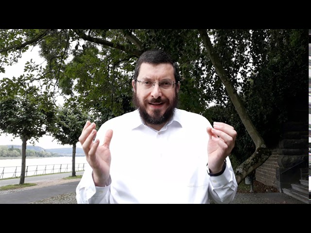 Шофтим – Забота о мире, сохранение природы