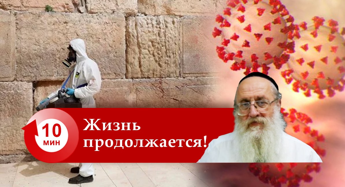 COVID-19 — Жизнь продолжается