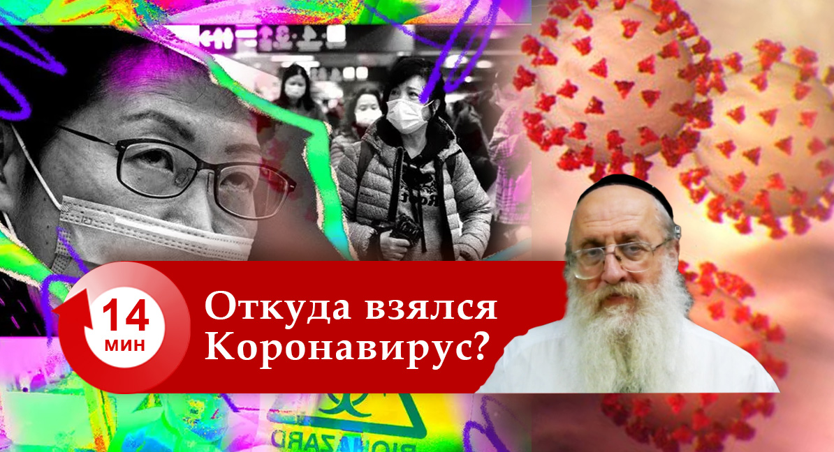 Откуда взялся Коронавирус?