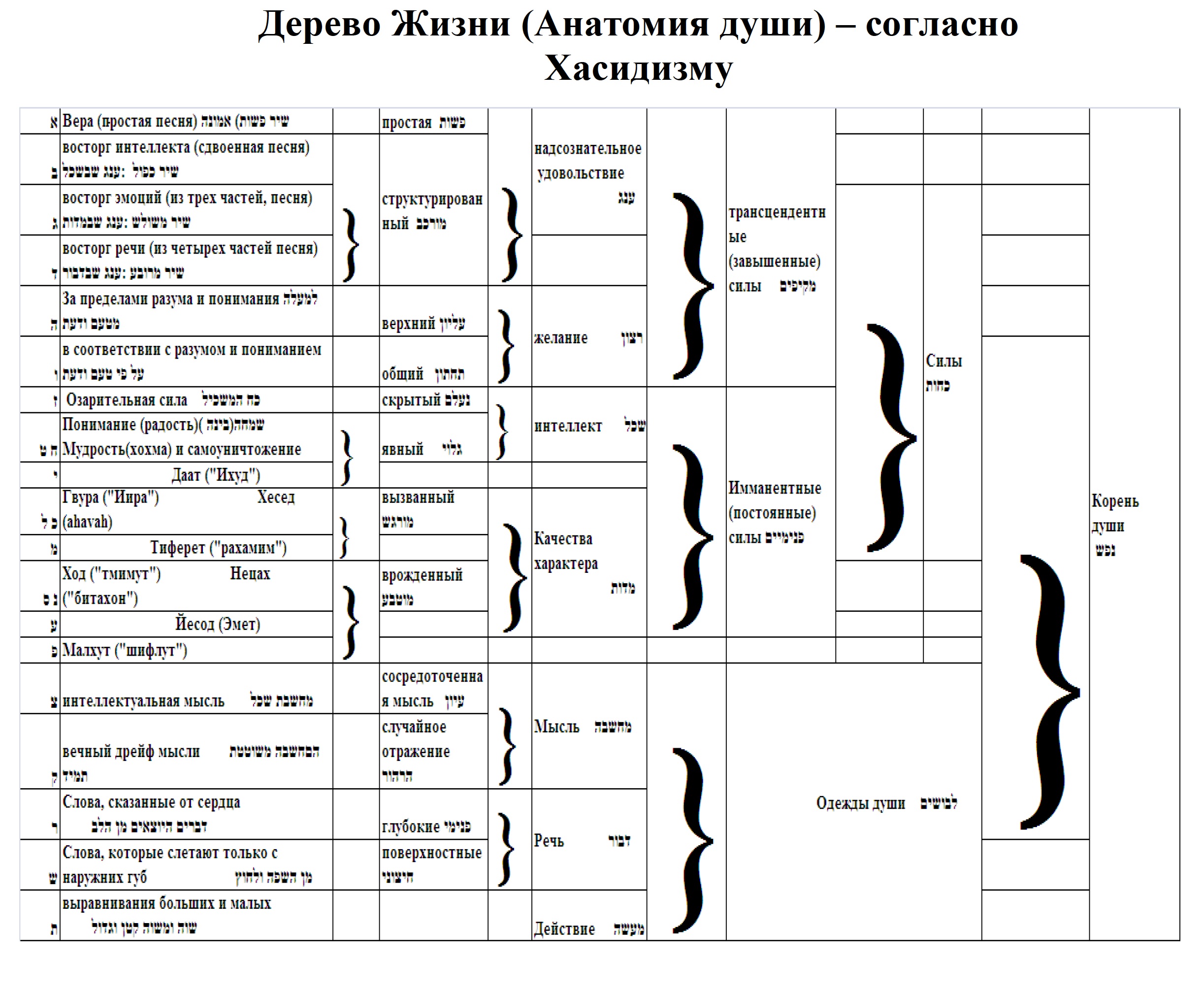 Анатомия души