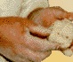 image30.gif (2942 bytes)