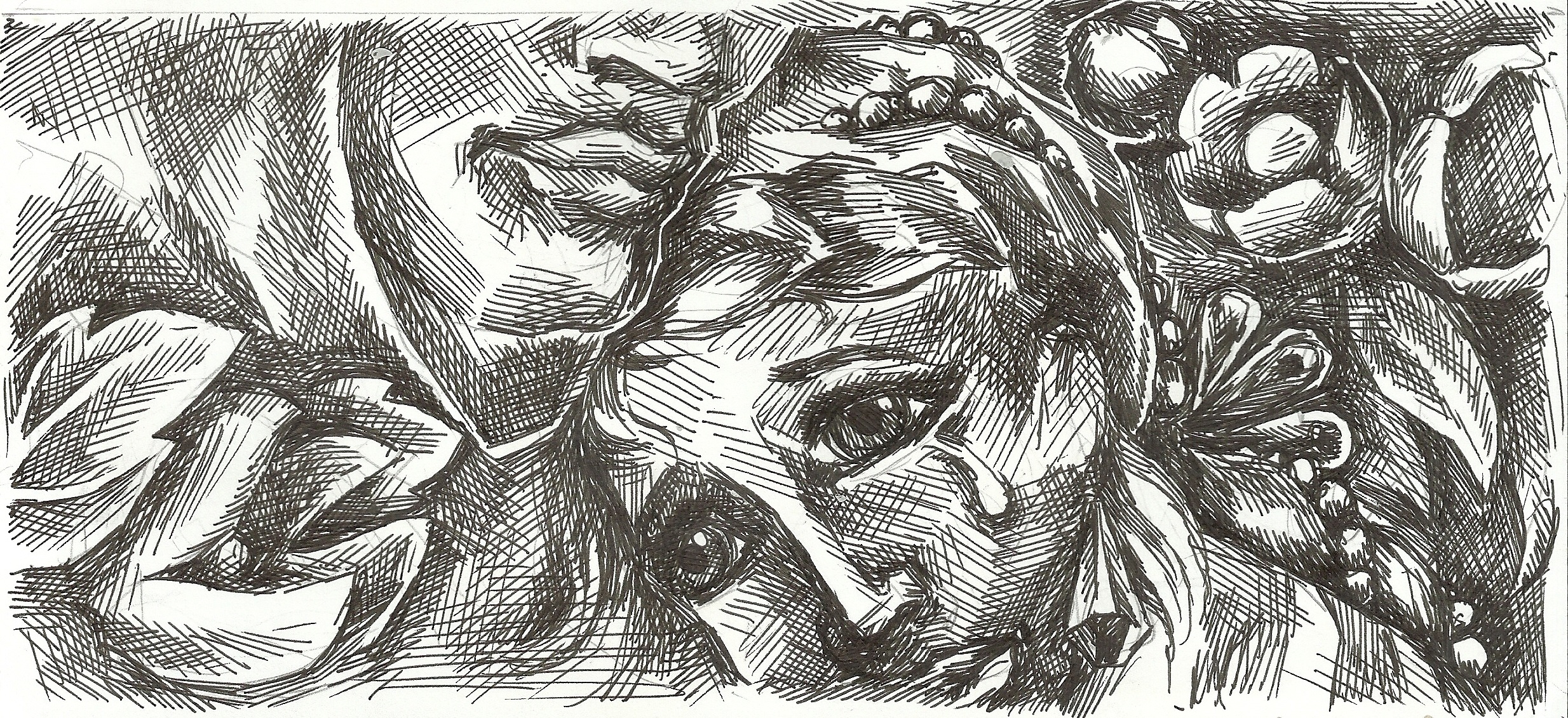 7. Принцесса-звезда